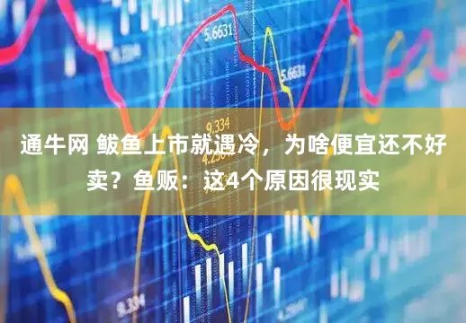 通牛网 鲅鱼上市就遇冷，为啥便宜还不好卖？鱼贩：这4个原因很现实
