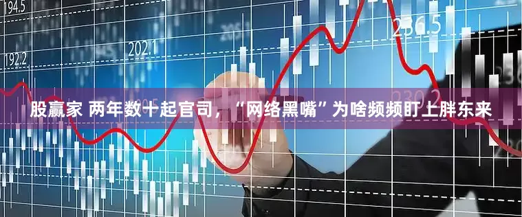 股赢家 两年数十起官司，“网络黑嘴”为啥频频盯上胖东来